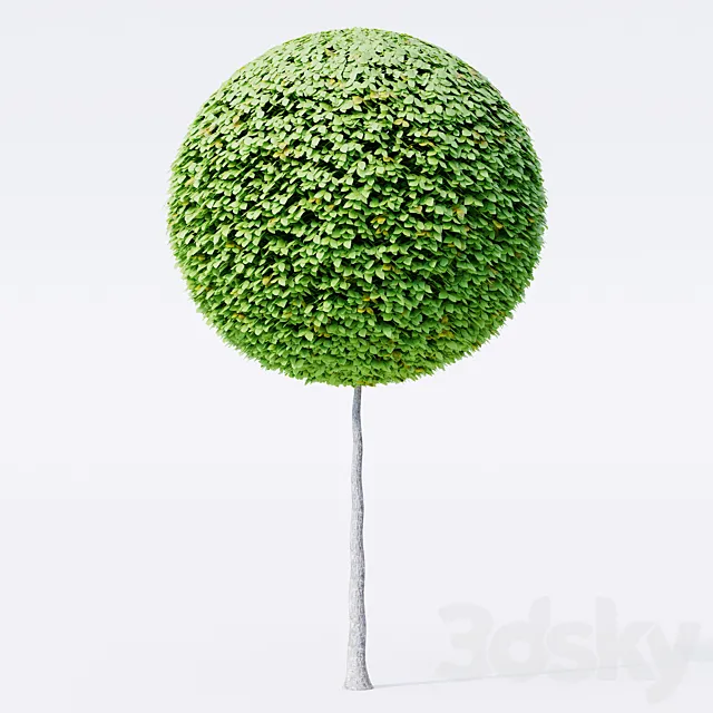 Geometric topiary trees 3D Model