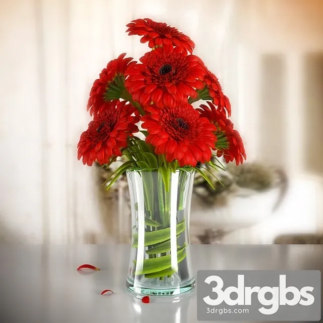 Gerbera 03 3D Model Free