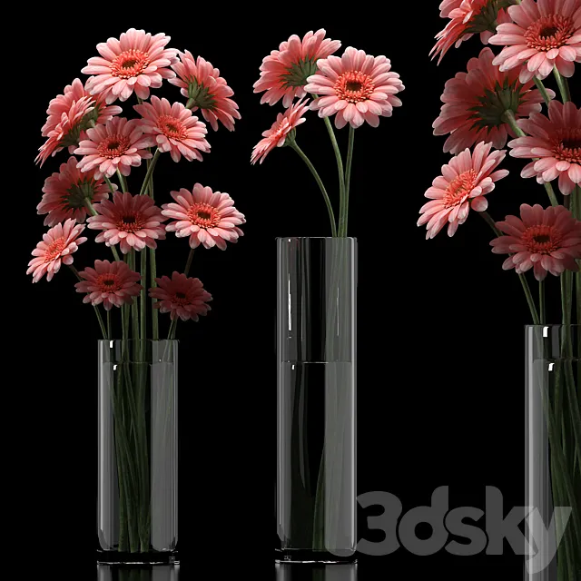 GERBERA 5 Free Download