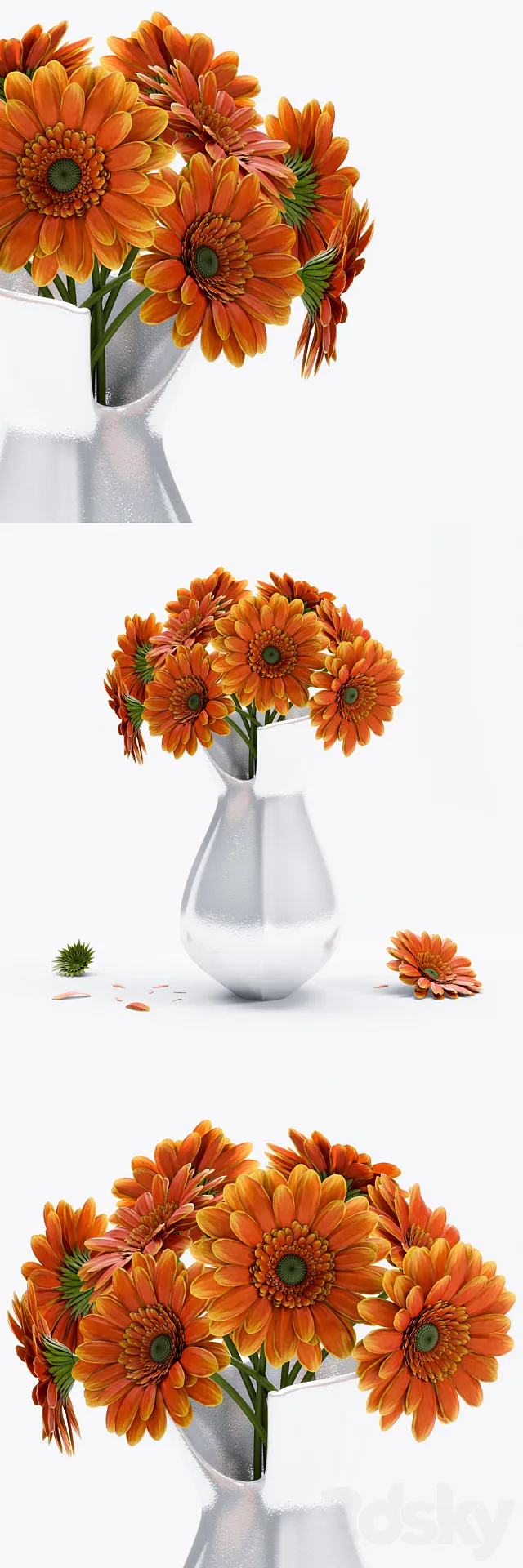 Gerbera Flower 3DModel