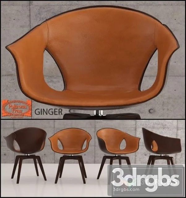 Ginger Dining Chair 3D Model Free