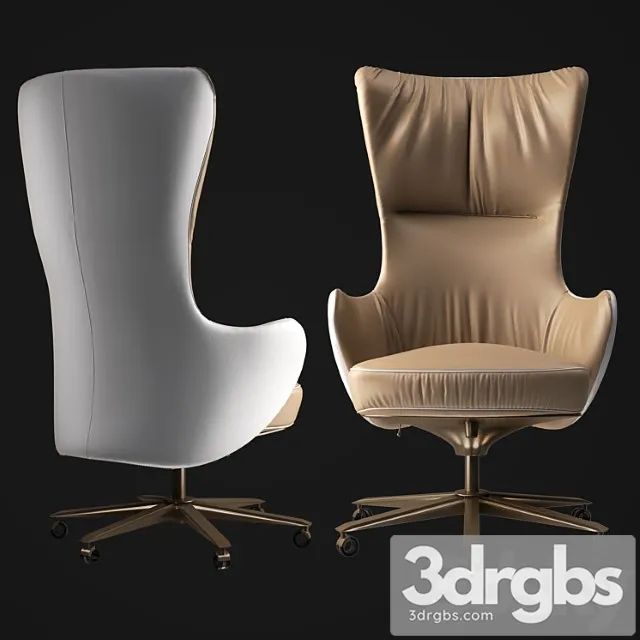 Giorgetti genius office armchair 3D Model Free