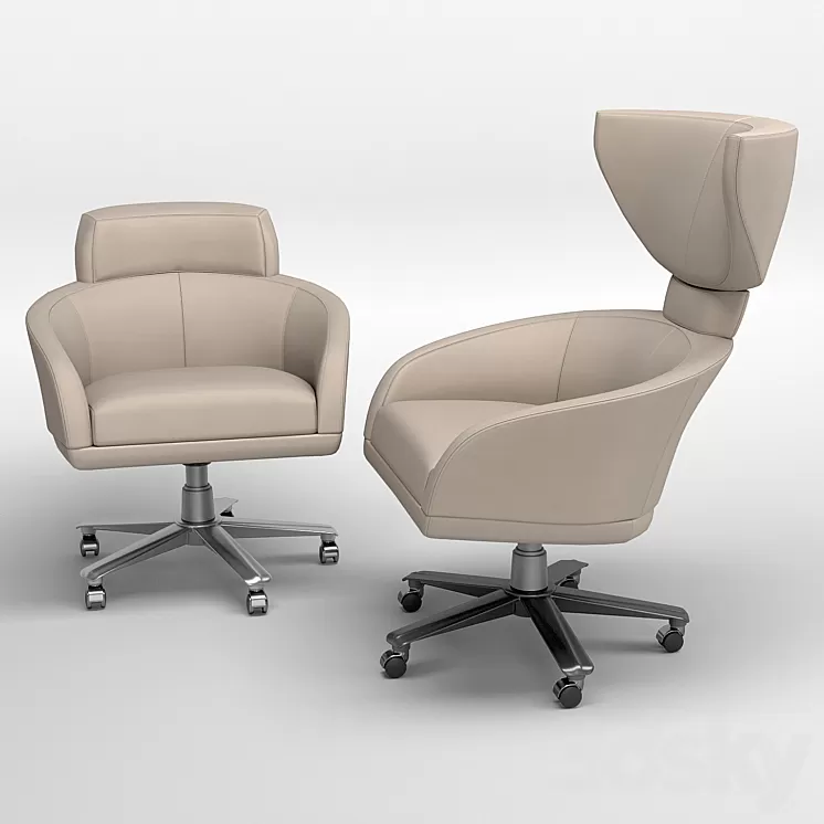 GIORGETTI Selectus swivel armchair 3D Model