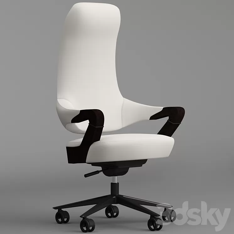 Giorgetti spinger office armchair 3D Model