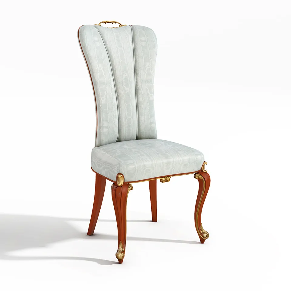 Giorgiocasa di Mozzo - Art C21Y M 3D Model