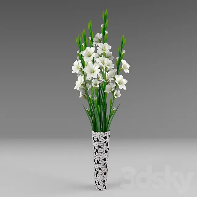 Gladiolus 3D Model