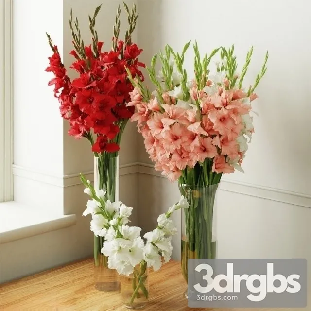 Gladiolus Bouquet 2 3D Model Free
