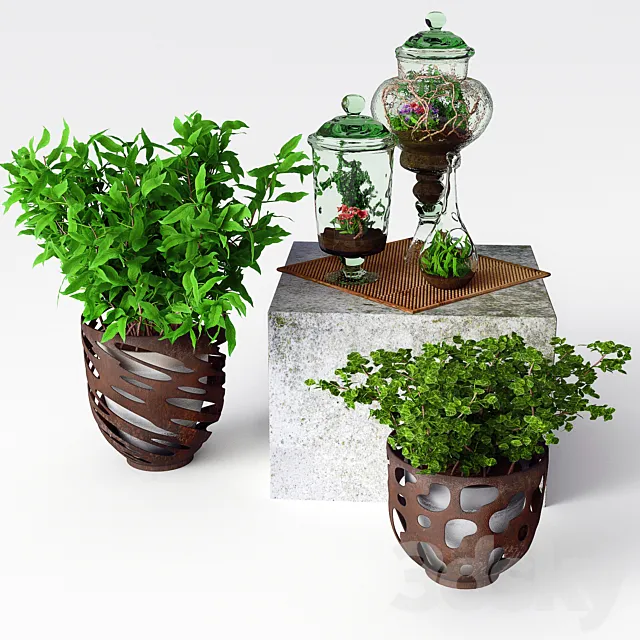 Glass terrariums with flowers and loach 3D Model
