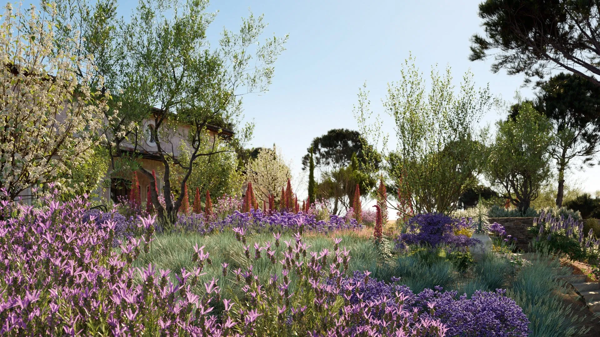 Globe Plants - Bundle 16 - Mediterranean Plants