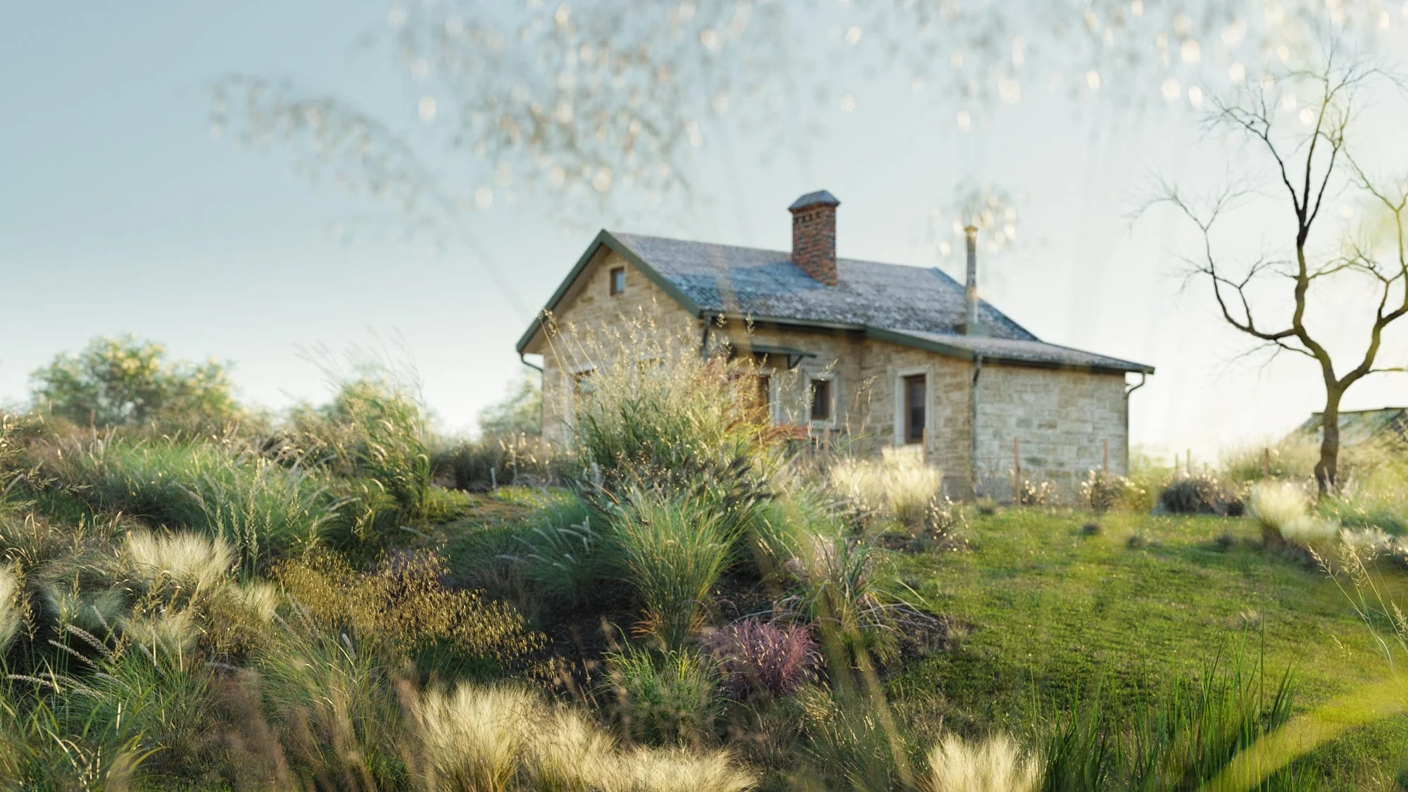 Globe Plants - Bundle 18 - Ornamental Grasses