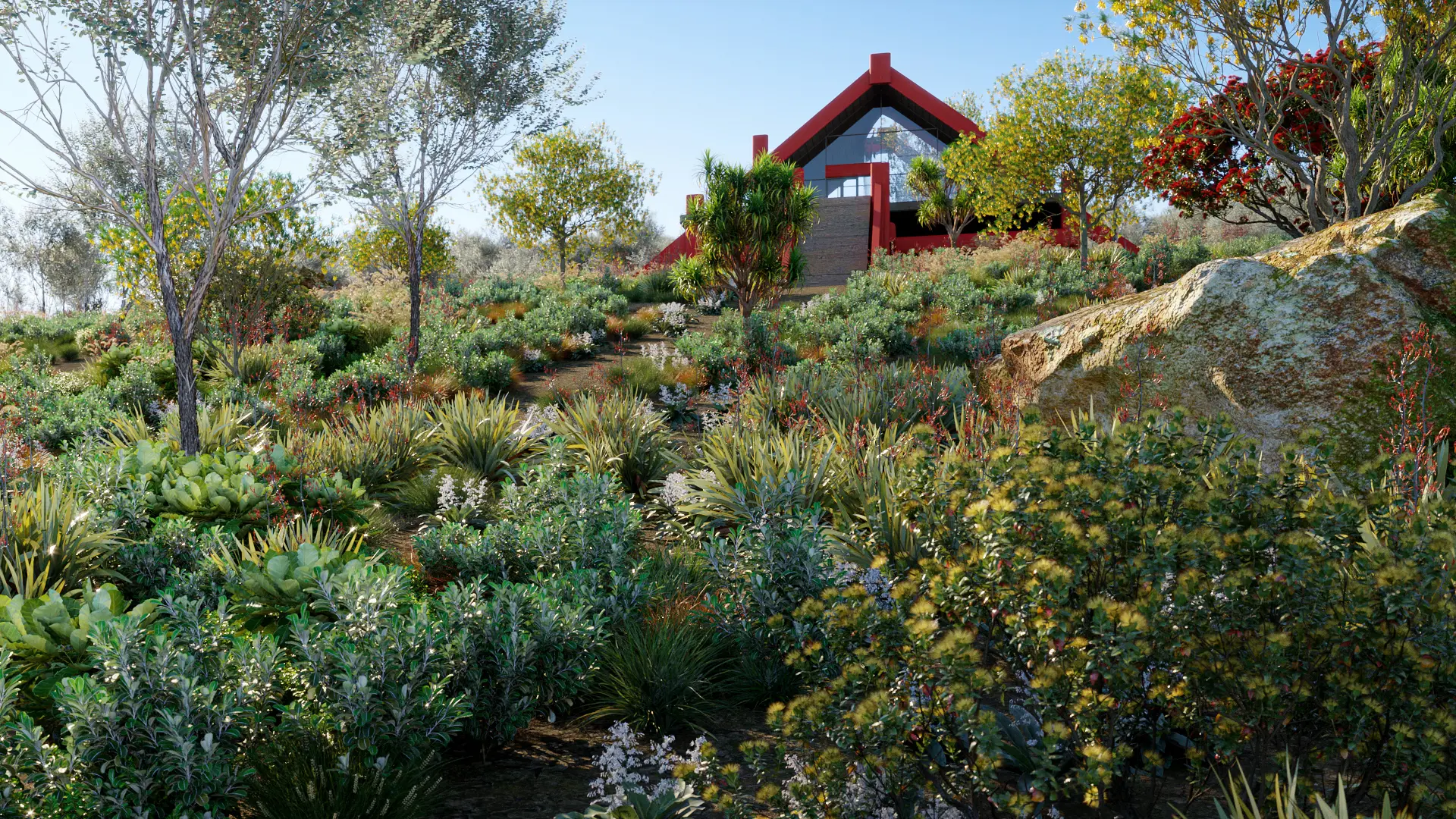 Globe Plants - Bundle 21 - New Zealand Plants