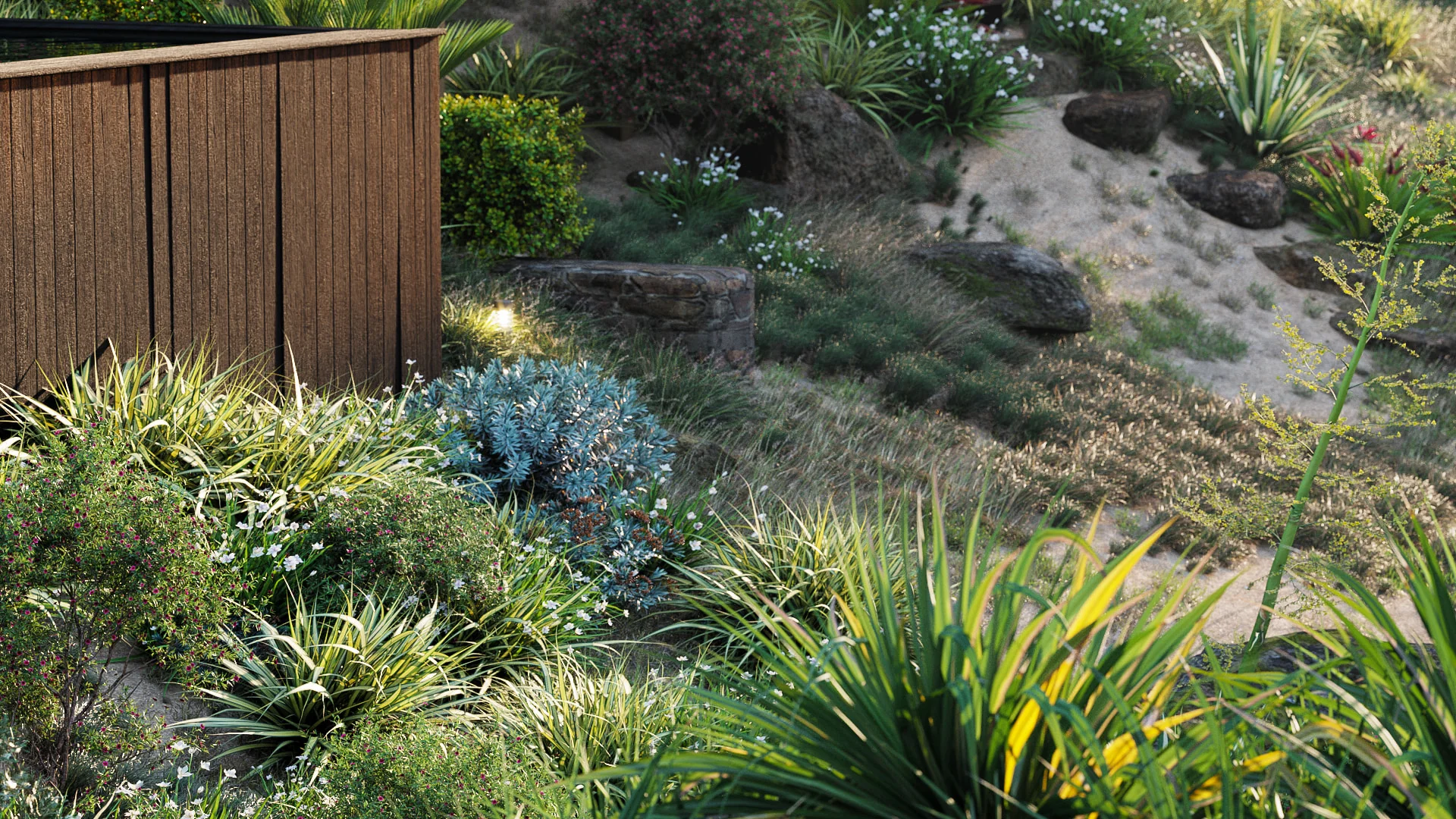 Globe Plants - Bundle 33 - New Zealand Home & Garden Plants