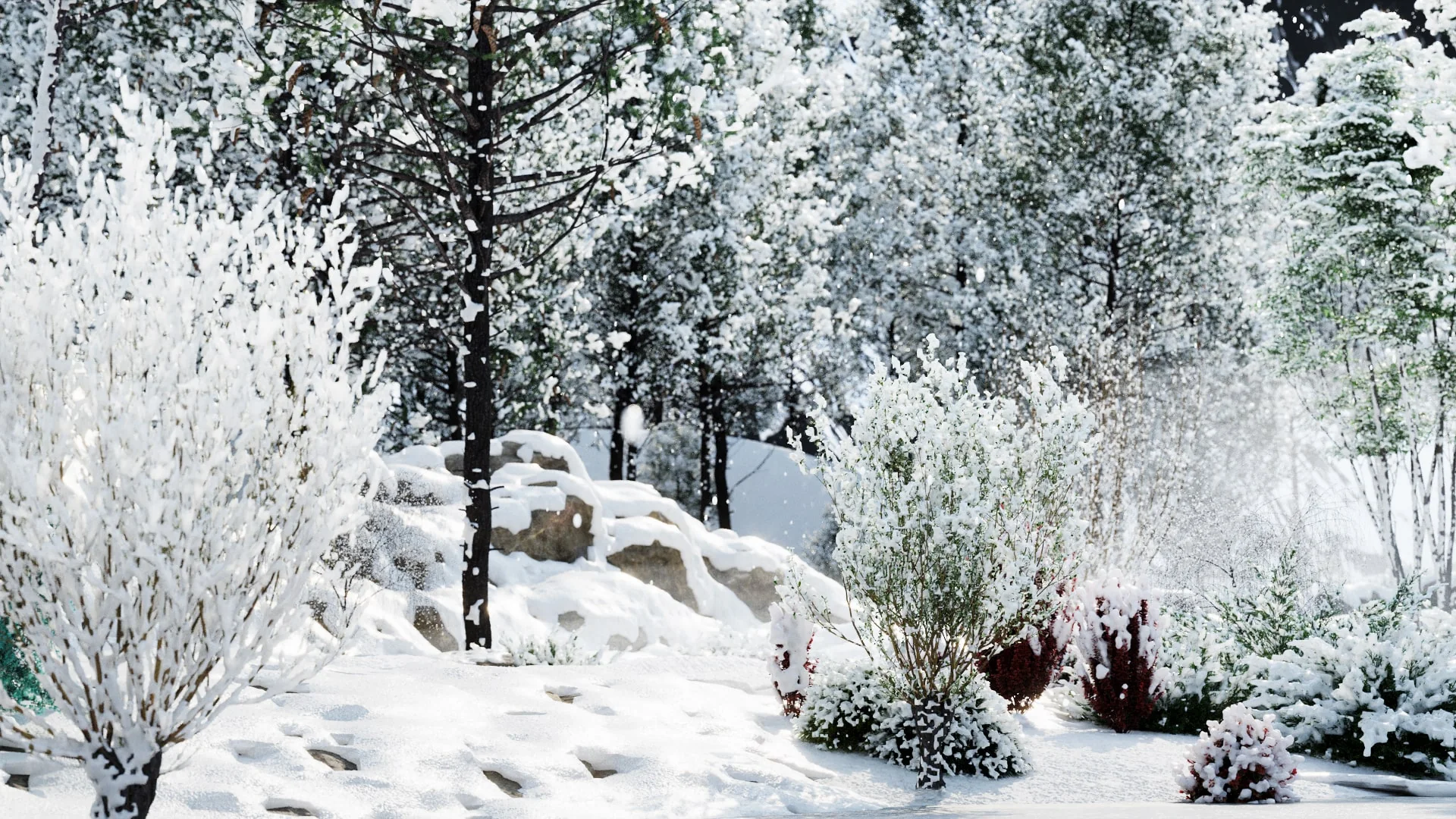 Globe Plants - Bundle 35 - Winter Plants