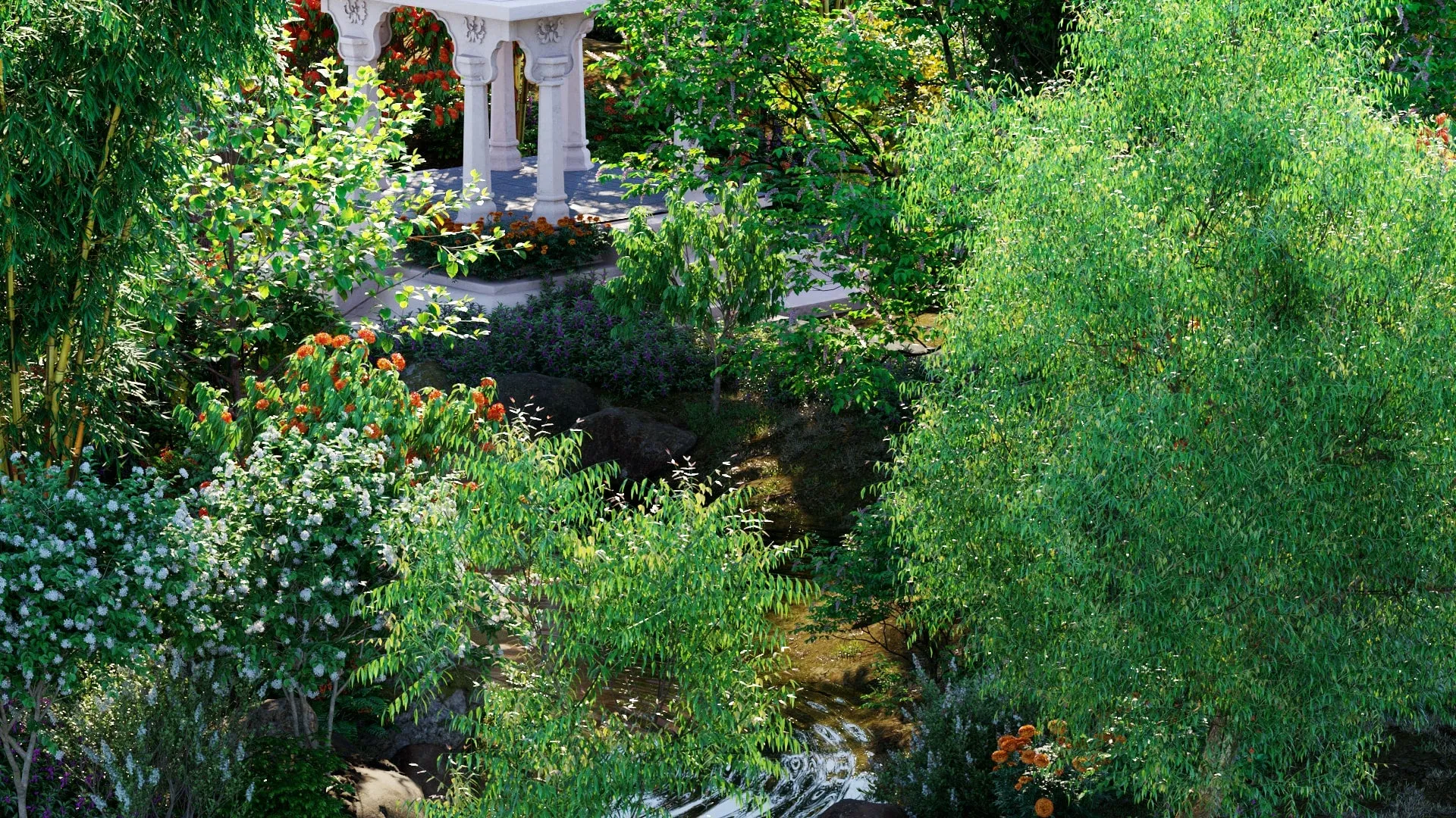 Globe Plants - Bundle 36 - Indian Plants