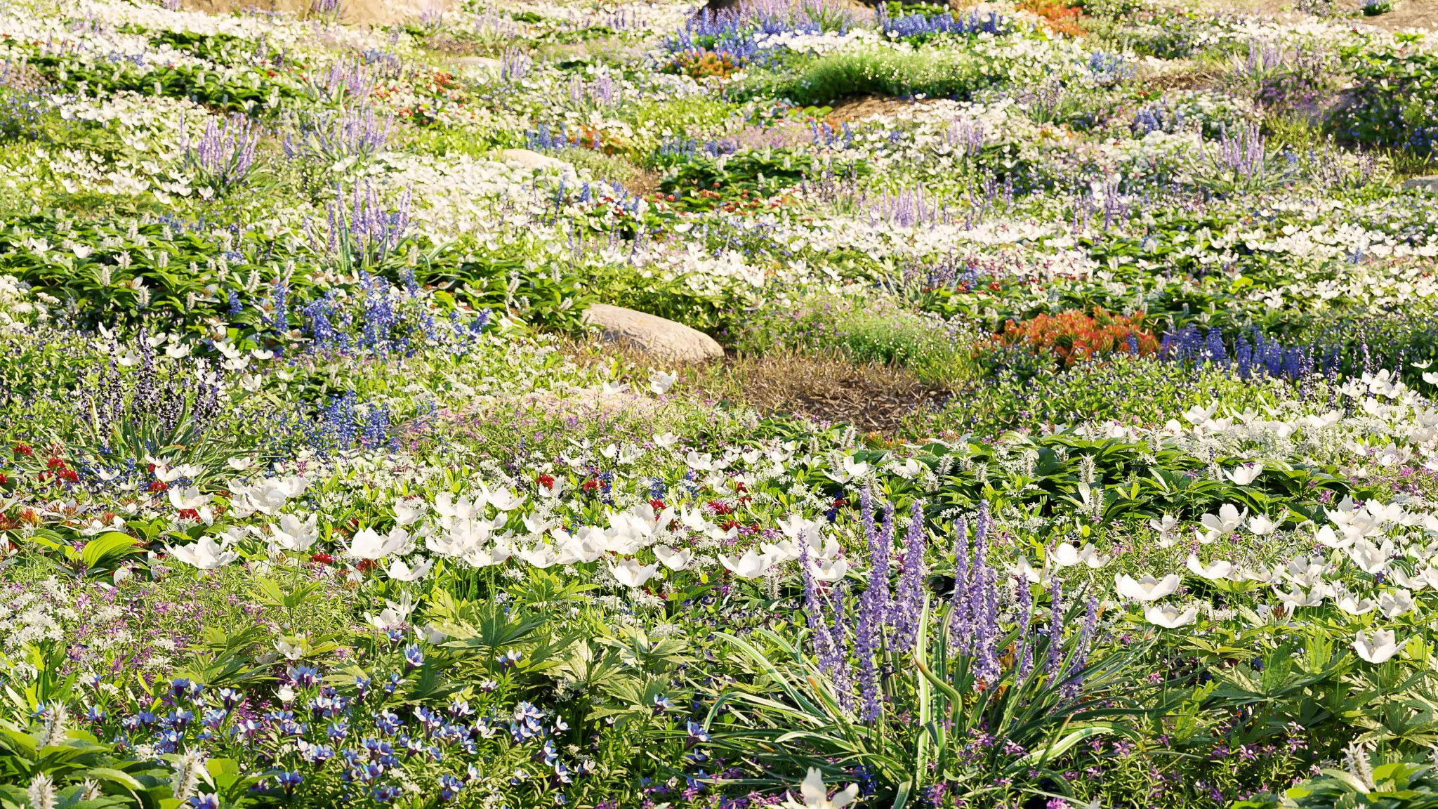 Globe Plants - Bundle 37 - Ground Cover Plants (3D Models)