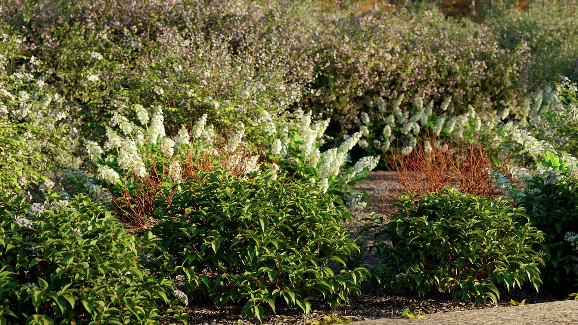 Globe Plants - Bundle 43 - Canadian Home & Garden Plants