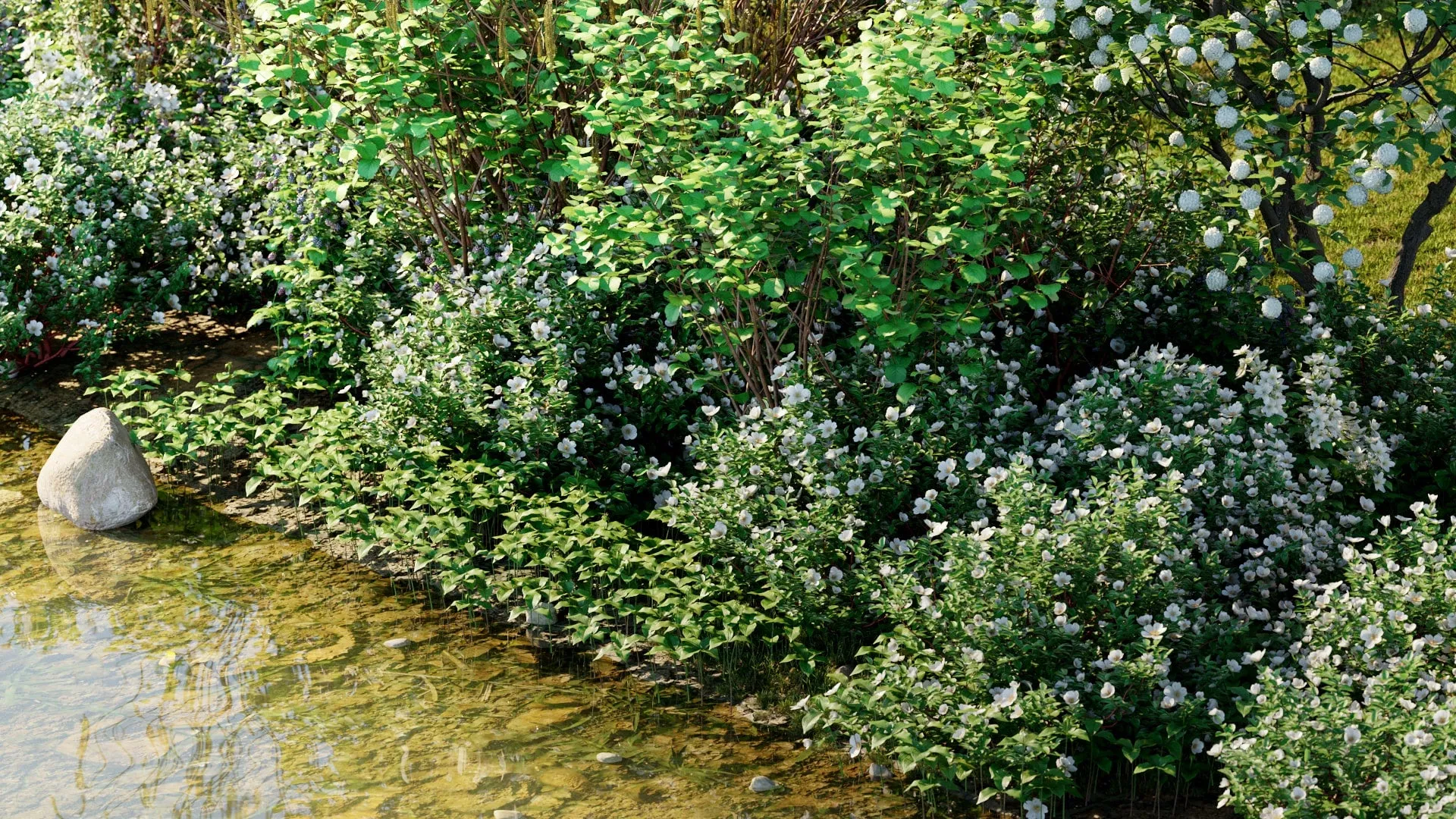 Globe Plants - Bundle 44 - Swedish Plant