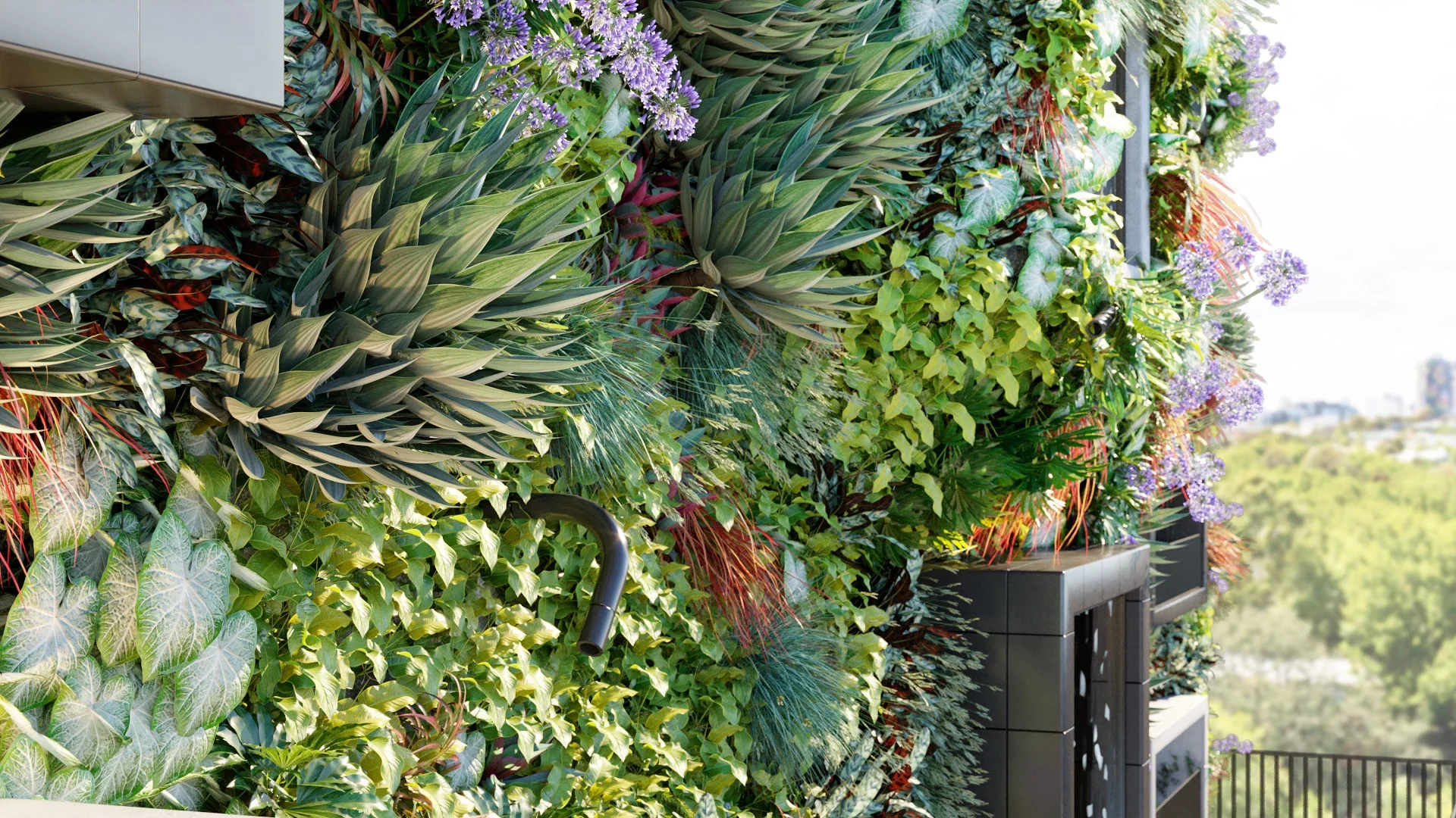 Globe Plants - Bundle 47 - Vertical Garden