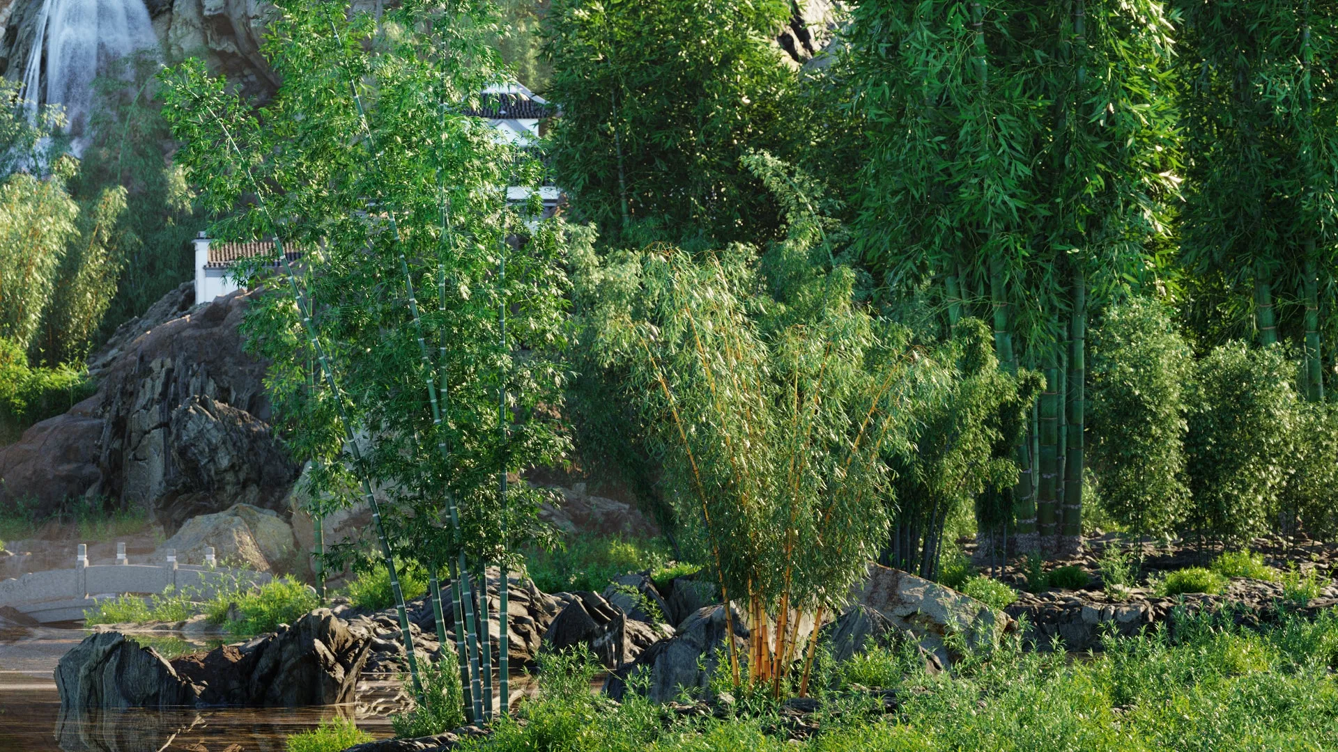 Globe Plants - Bundle 51 - Bamboo World