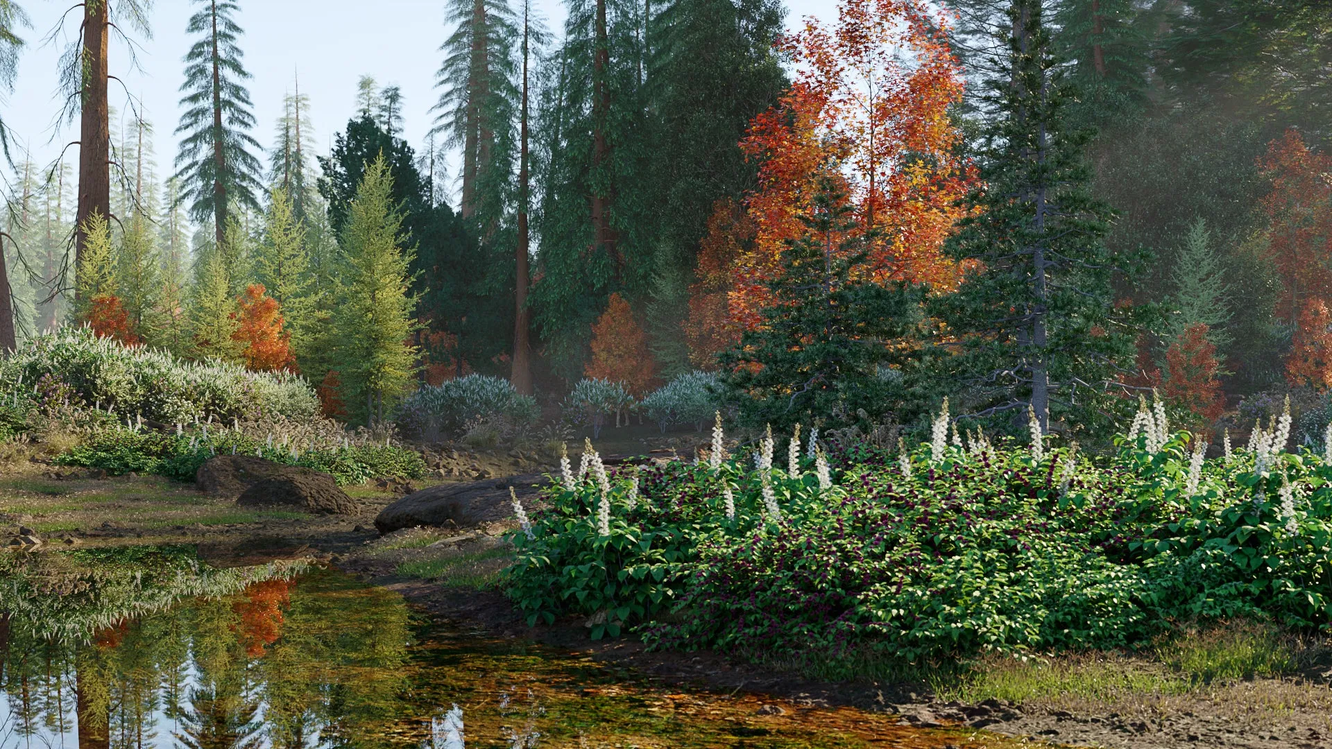 Globe Plants - Bundle 52 - North American Trees