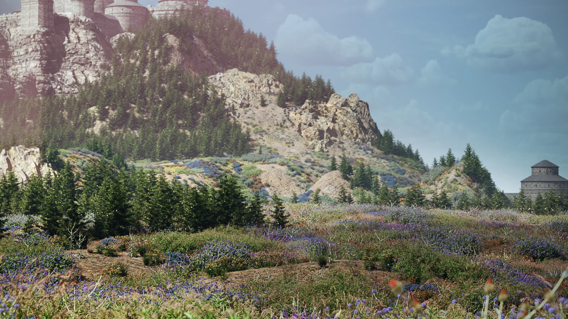 Globe Plants - Bundle 58 - Meadow Plants