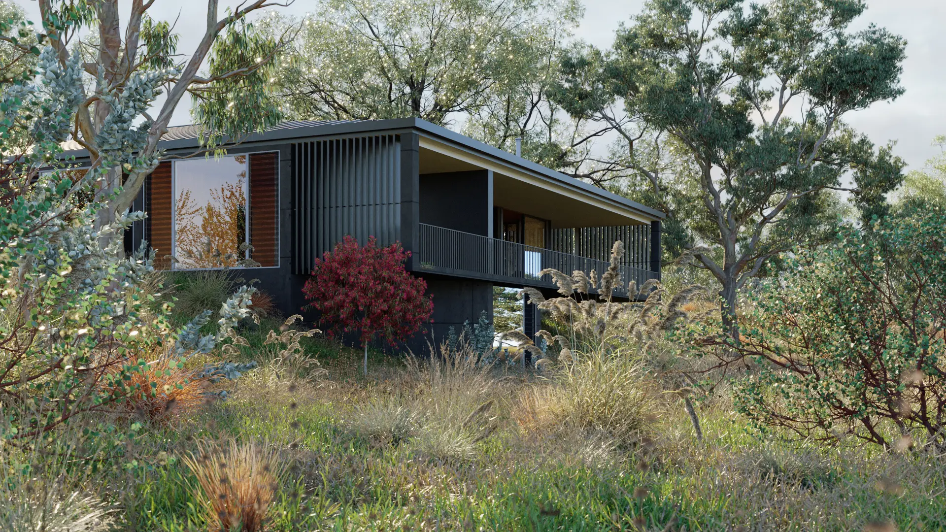 Globe Plants - Bundle 62 - Eucalyptus Trees