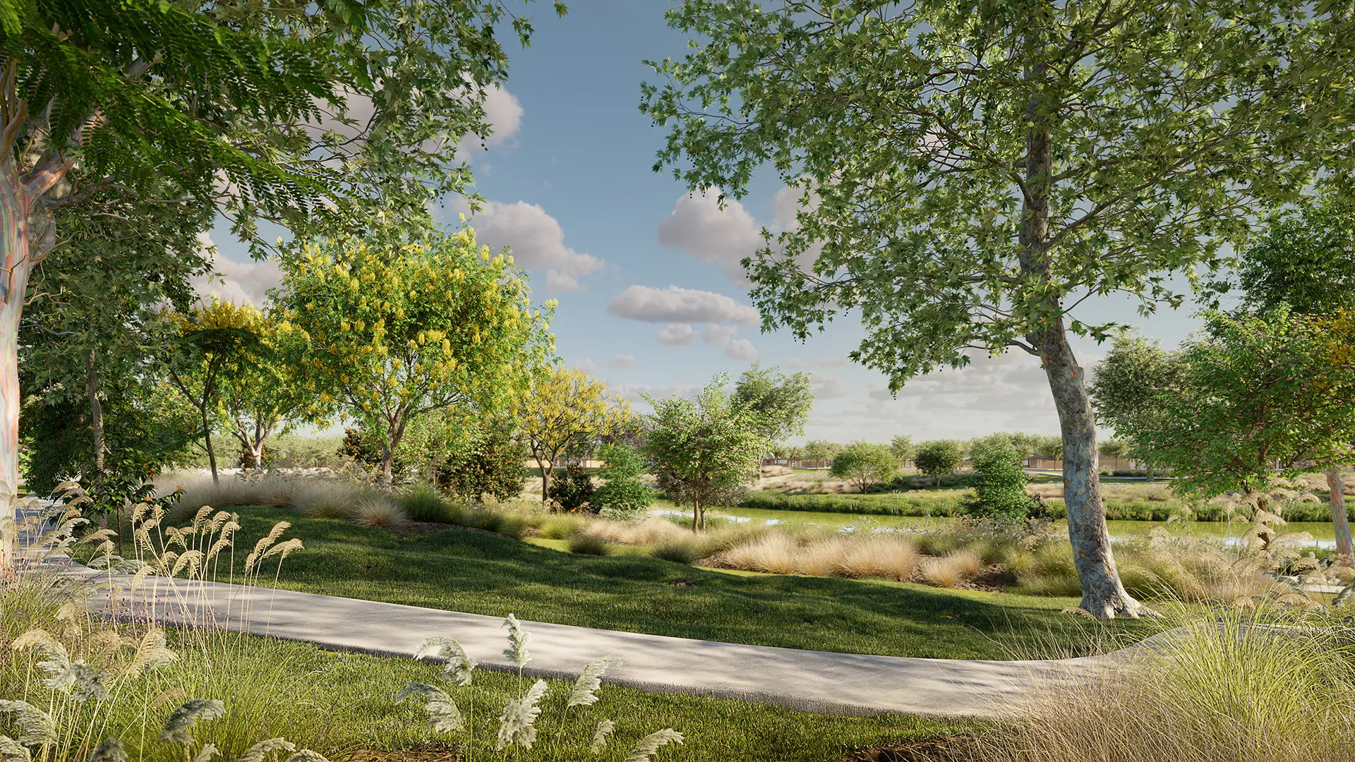 Globe Plants - Bundle 65 - Street Trees