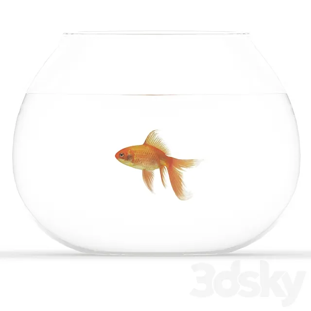 Golden fish 3D Model