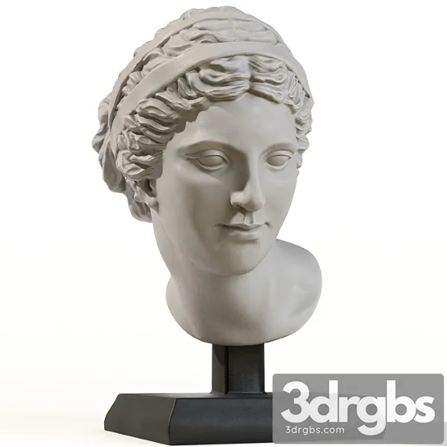 Golova Afrodity 3D Model Free