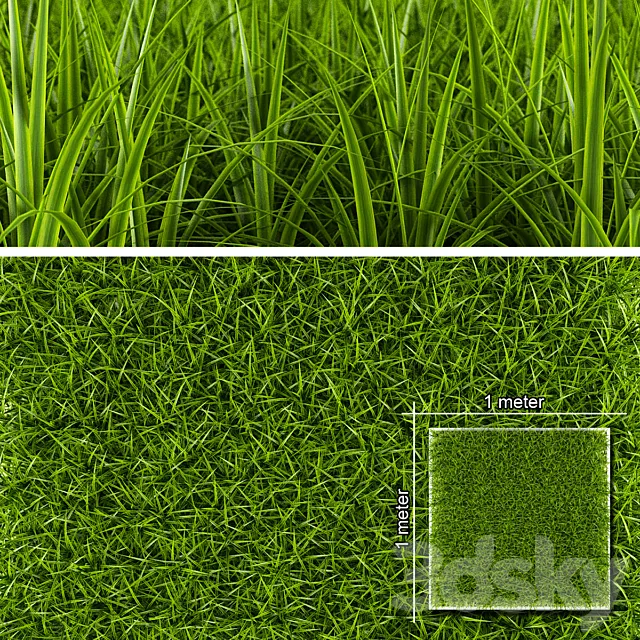 GRASS 1 3DModel