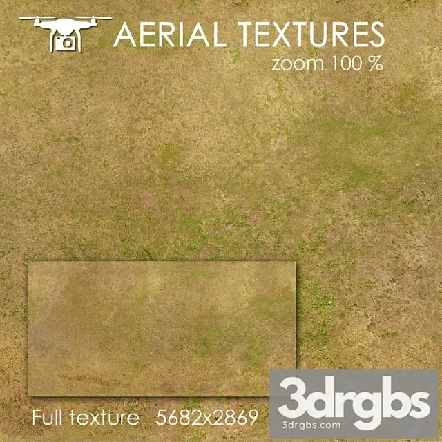 Grass 23 3D Model Free