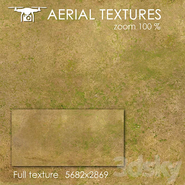 Grass 23 3D Model