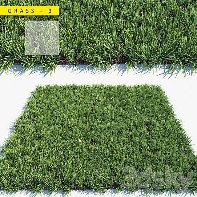 Grass 3 3DModel