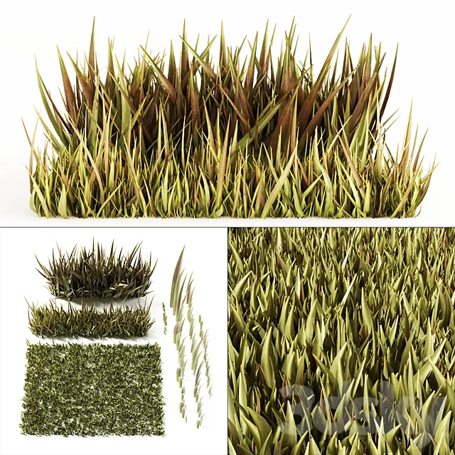 Grass 3D Model