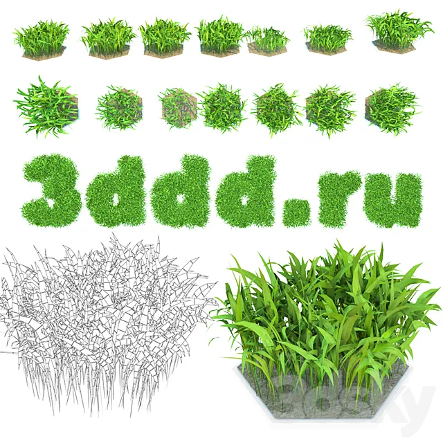Grass 3D Model