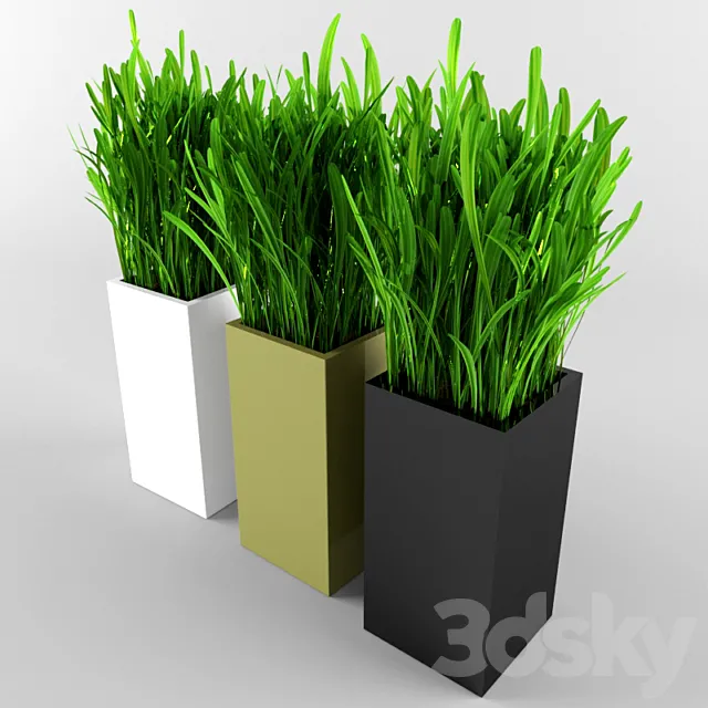 Grass 3DModel
