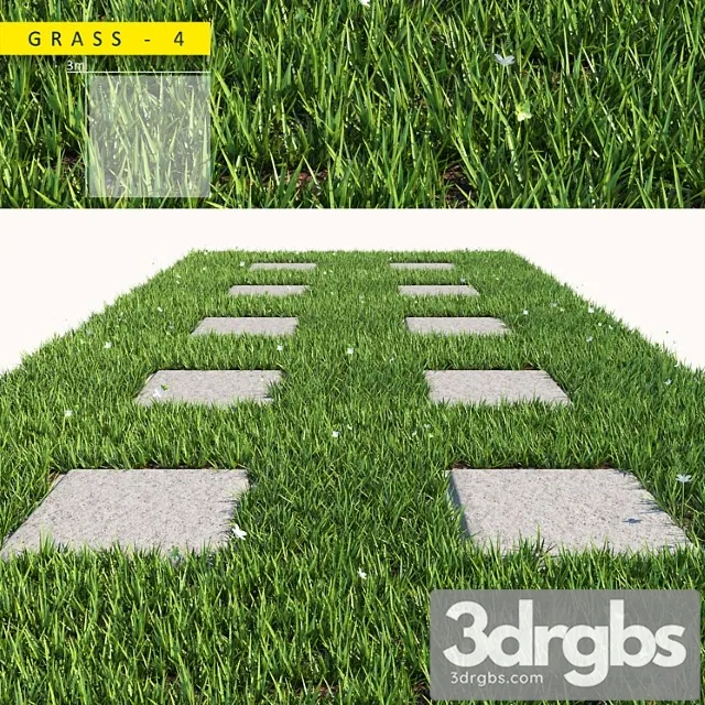Grass 4 1 3D Model Free