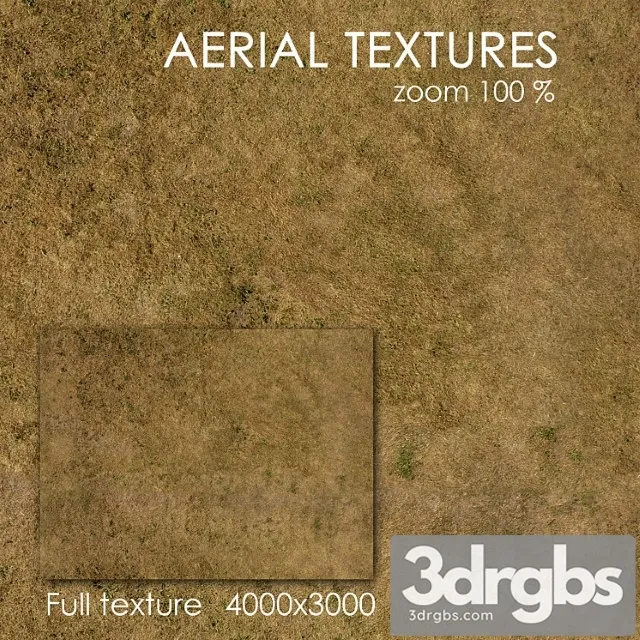Grass 53 3D Model Free