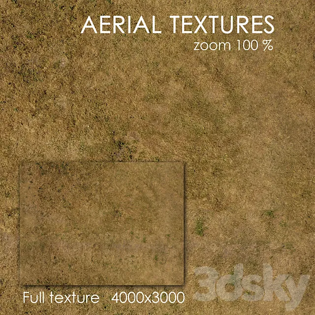Grass 53 3D Model