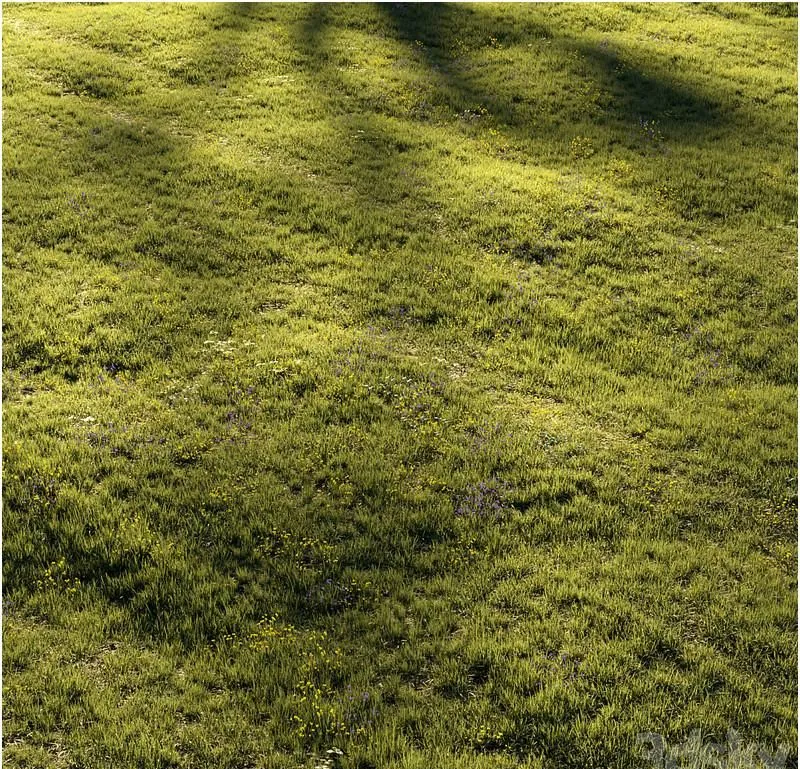 Grass and Flower 3D Model