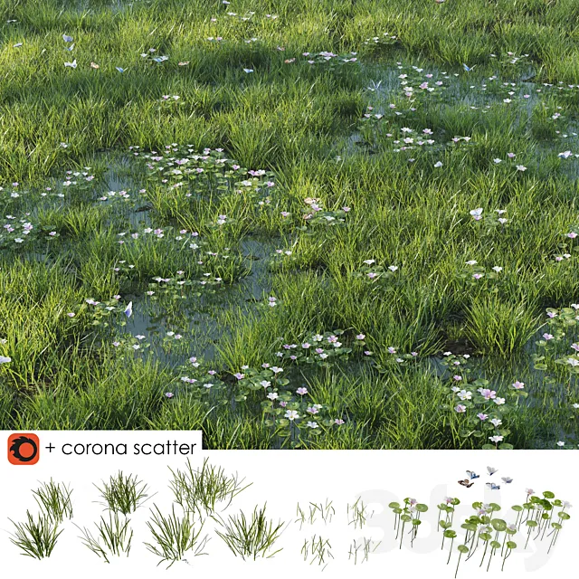 Grass and puddle Free Download