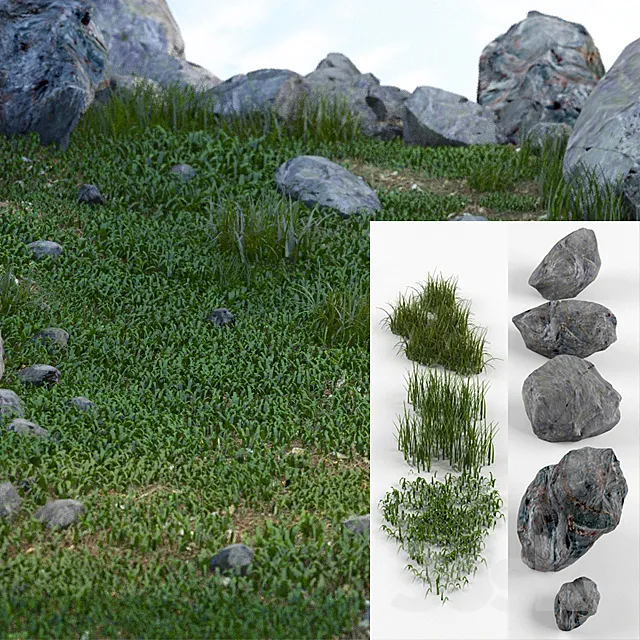 Grass and stones SRG 3D Model