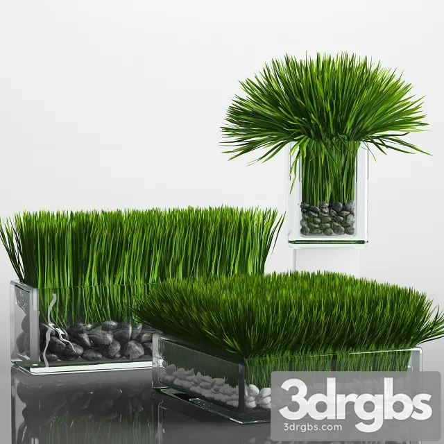 Grass Arrangement 3D Model Free