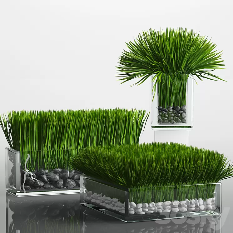 Grass Arrangement 3D Model