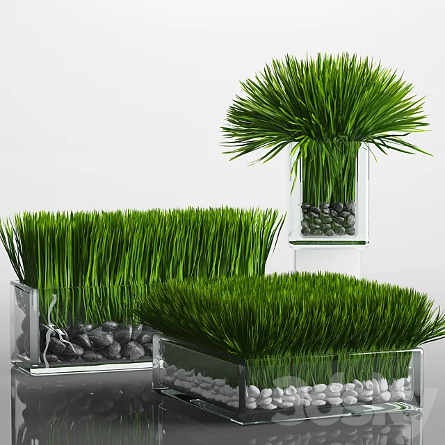 Grass Arrangement 3DModel