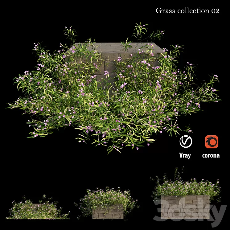 Grass collection 02 3D Model