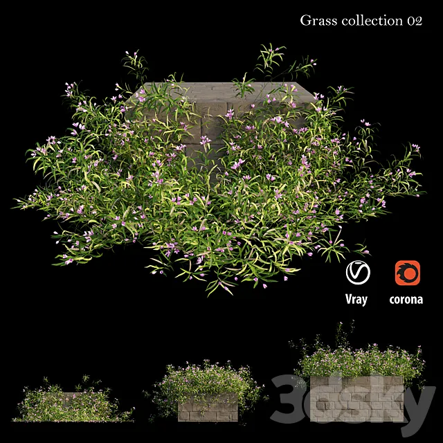 Grass collection 02 3DModel