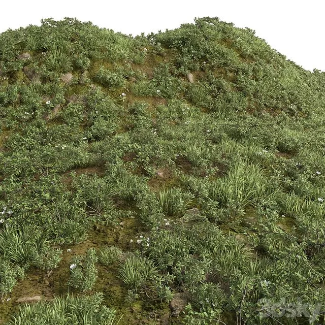 GRASS COLLECTION FOR LANDSCAPE NO12 3D Model