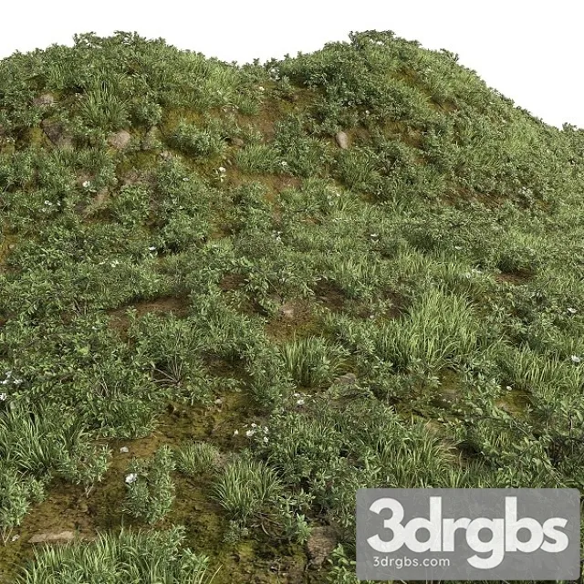 Grass Collection For Landscape No12 3D Model Free