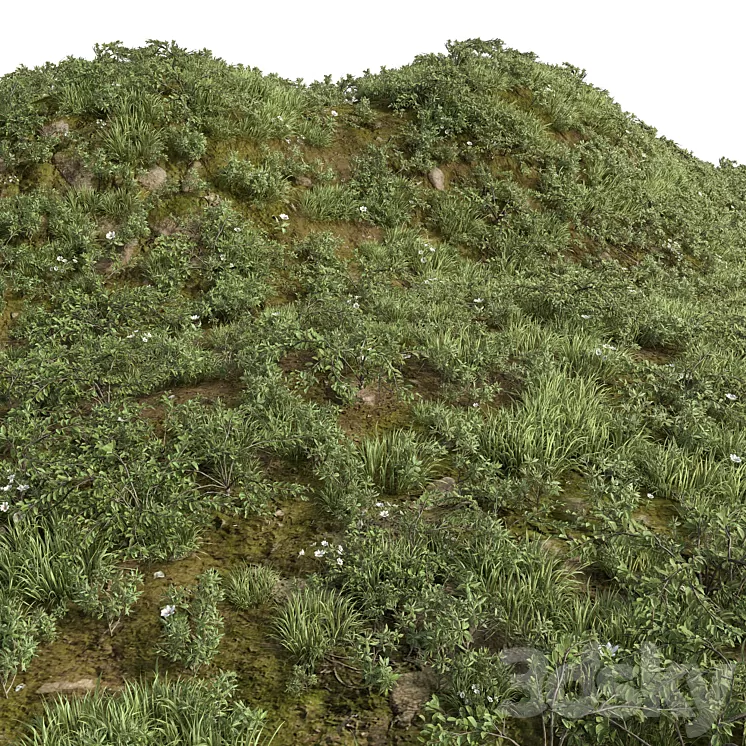 GRASS COLLECTION FOR LANDSCAPE NO12 3D Model